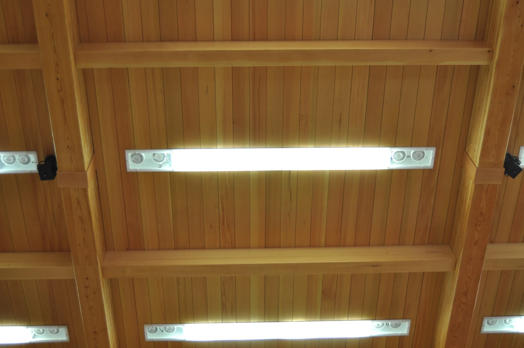 Close view of the custom Euclid Ave gym luminaire